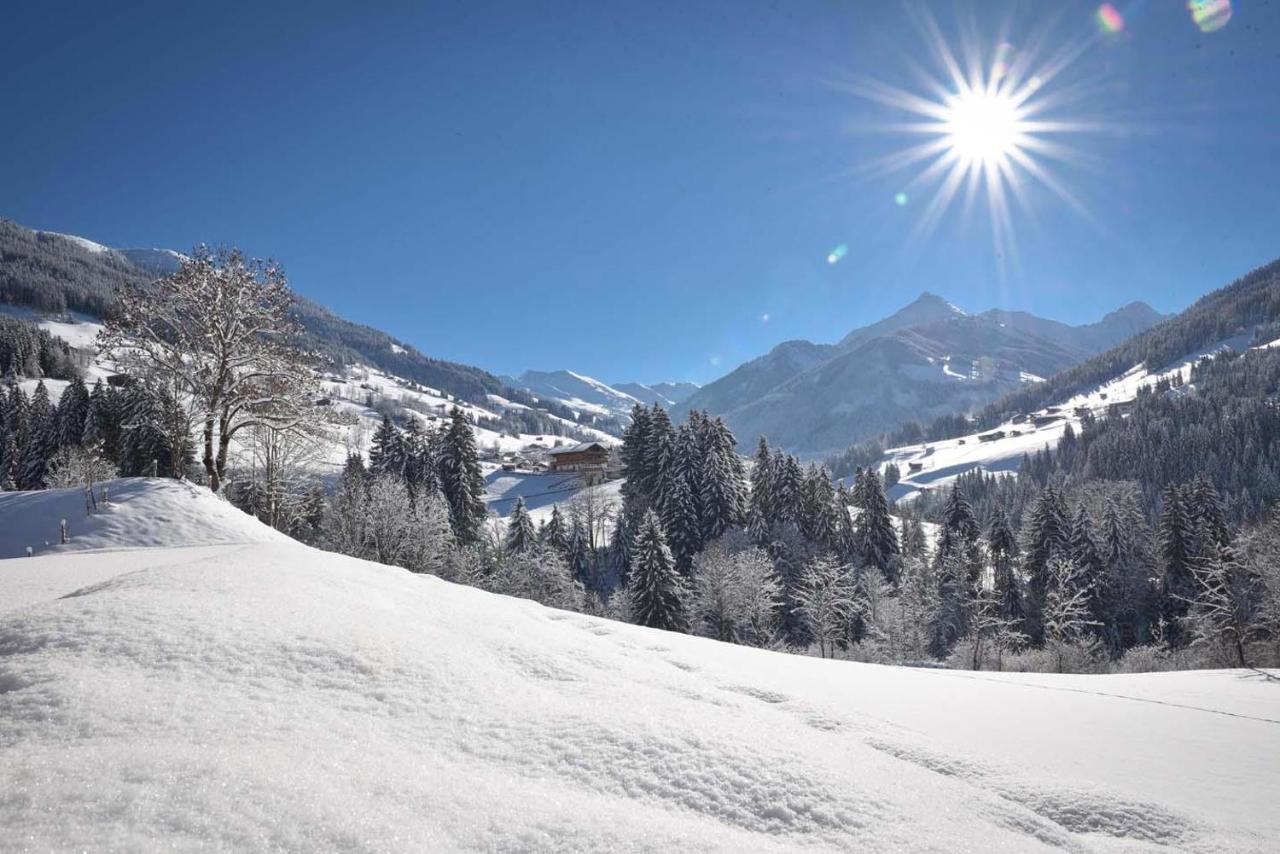 Jaegerhof Apartman Alpbach Kültér fotó